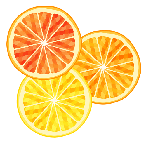 輪切りにしたオレンジとレモン